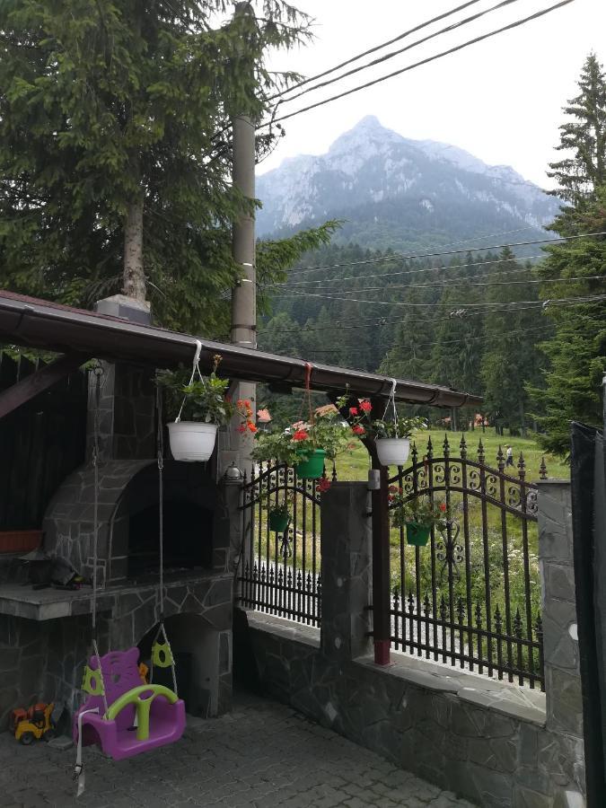 Casa Bran Villa Buşteni Exterior foto